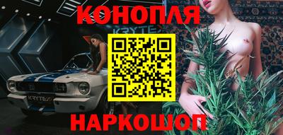 индика Новоалтайск