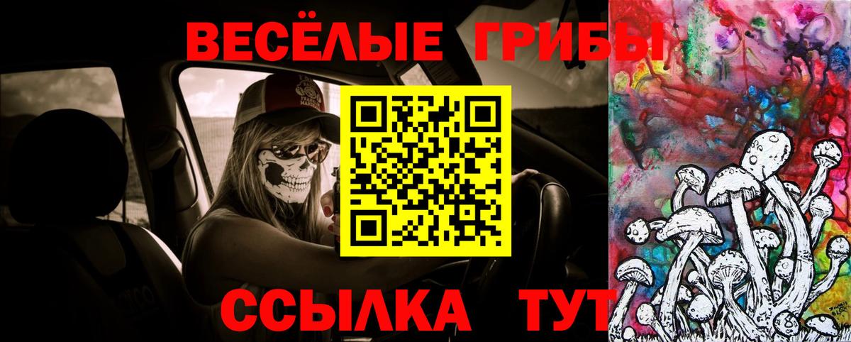 Псилоцибиновые грибы Magic Shrooms  Вход с VPN  Красноармейск  Псилоцибиновые грибы Psilocybe 