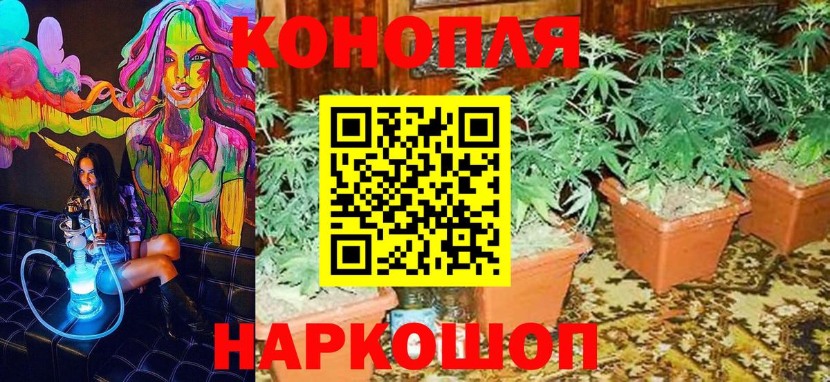 Конопля планчик  Канабис семена  Бошки марихуана White Widow  Вход с VPN  Красноармейск 